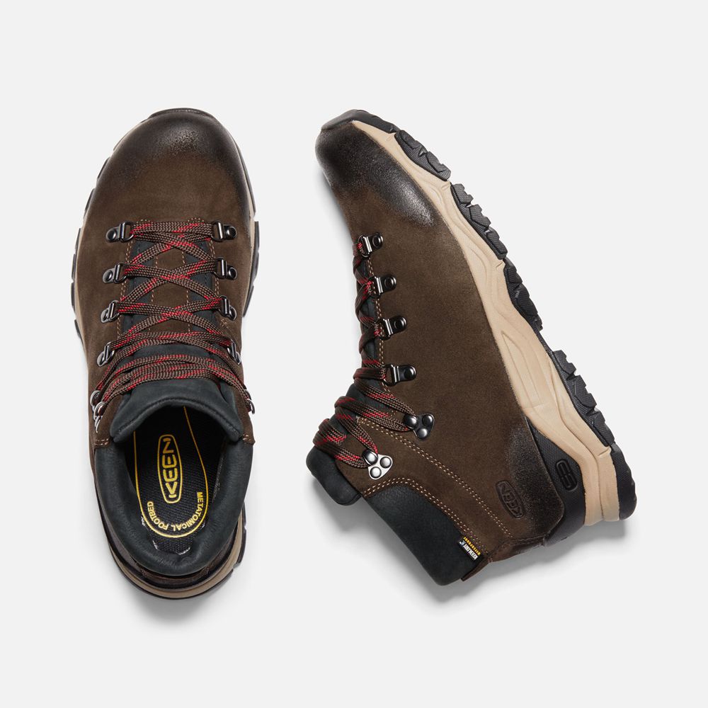 Keen Vandringskängor Herr Bruna - Feldberg Apx Waterproof - 019537YIE